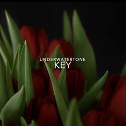 Key (From “Minecraft”)