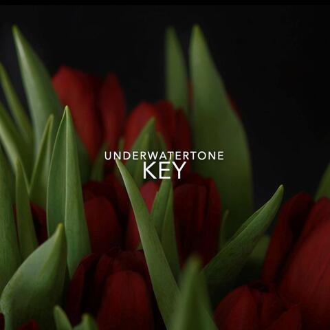 Key (From “Minecraft”)