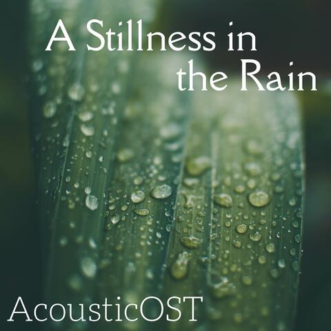 A Stillness in the Rain (From "Stardew Valley")