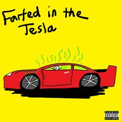 Farted in the Tesla
