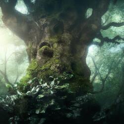 Deku Tree's Words (From "The Legend of Zelda: Ocarina of Time")