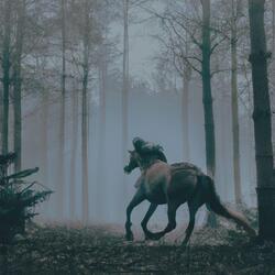 Riding (Slowed + Reverb)
