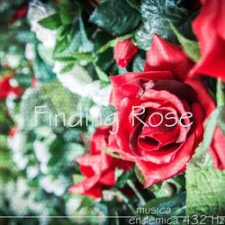 Finding Rose