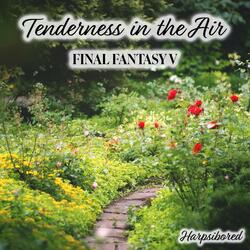 Tenderness in the Air (From "Final Fantasy V")