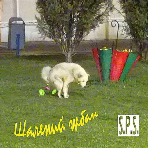 Шалений Жбан