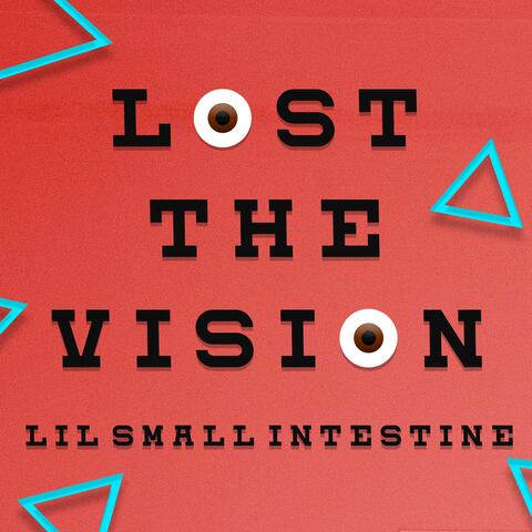 Lost The Vision