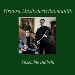 Introduktion und Variationen. op.28
