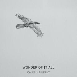 Wonder Of It All