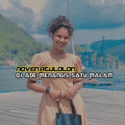 Dj Ade Menangis Satu Malam