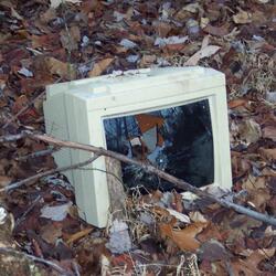 Raised By The World Wide Web