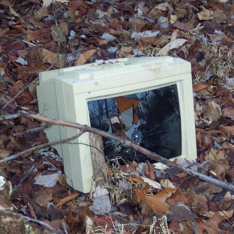 Raised By The World Wide Web