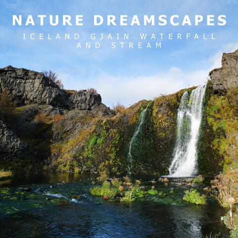 Iceland Gjain Waterfall and Stream