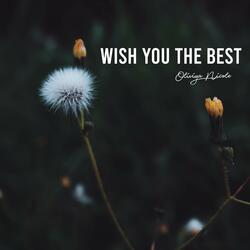 Wish You The Best