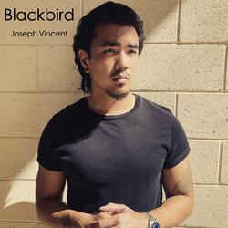 Blackbird