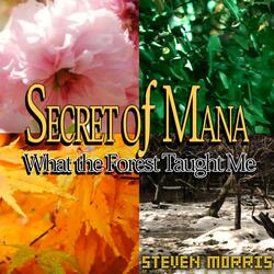 What the Forest Taught Me (From "Secret of Mana")