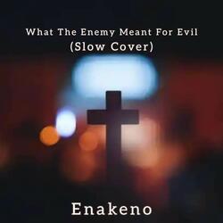 What The Enemy Meant For Evil