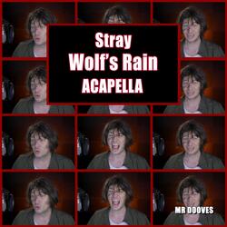 Stray (From "Wolf's Rain")