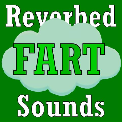 Fart sounds with mega reverb