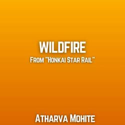 Wildfire From ("Honkai Star Rail")