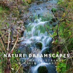 Little Water Stream in Gjain Iceland