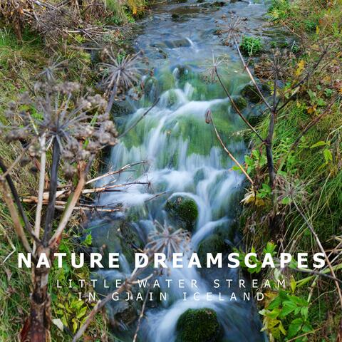 Little Water Stream in Gjain Iceland