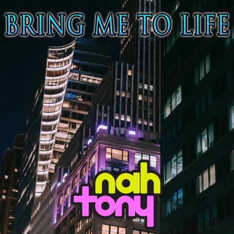 Bring Me To Life