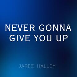 Never Gonna Give You Up