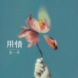 用情