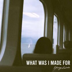 What Was I Made For