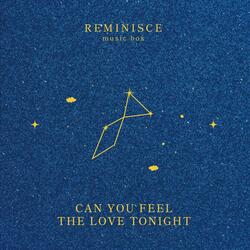 Can You Feel The Love Tonight