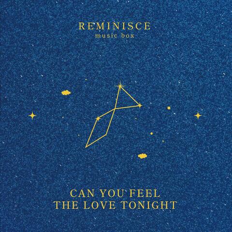 Can You Feel The Love Tonight