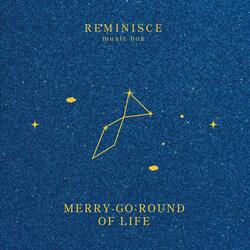 Merry-Go-Round of Life