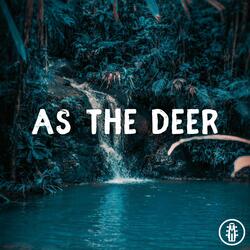 As the Deer - Acoustic Instrumental