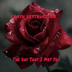 The Day That I Met You