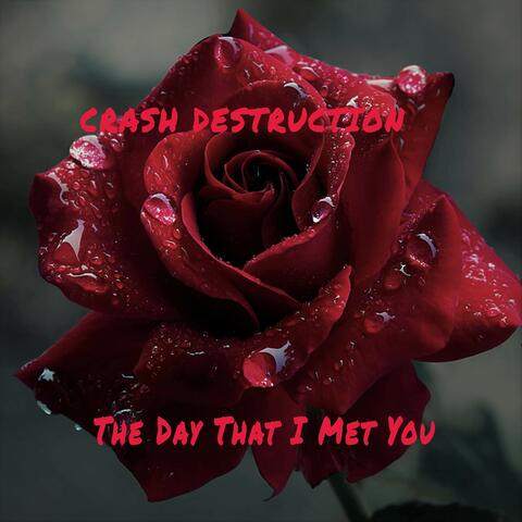 The Day That I Met You