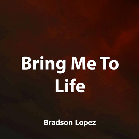 Bring Me To Life