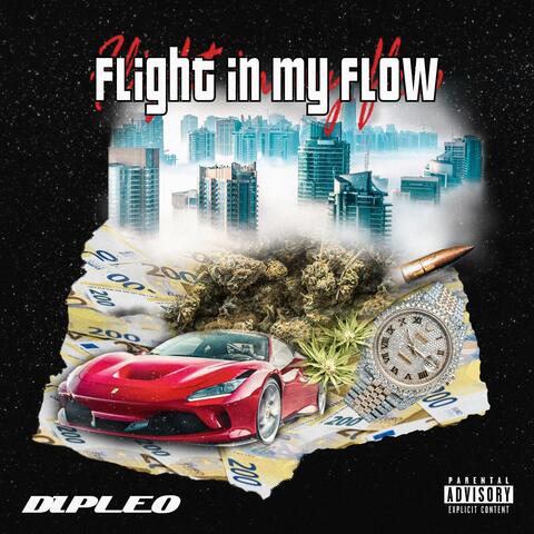 FLIGHT IN MY FLOW