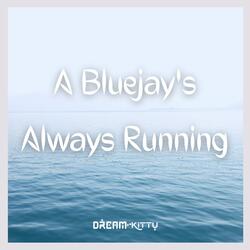 A Bluejay's Always Running