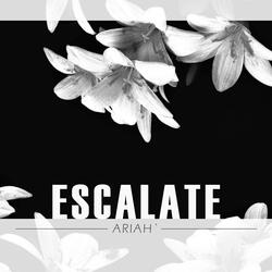 Escalate (from "NieR:Automata Ver1.1a")