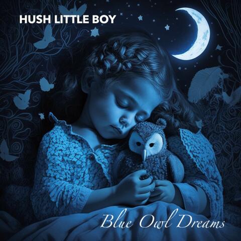 Blue Owl Dreams
