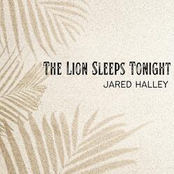 The Lion Sleeps Tonight