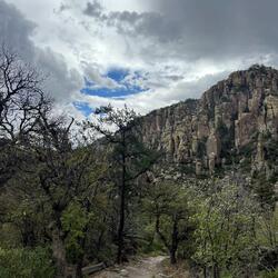 Chiricahua