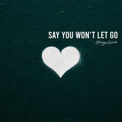 Say You Won't Let Go