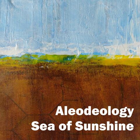 Sea of Sunshine
