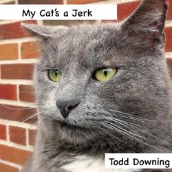 My Cat's a Jerk