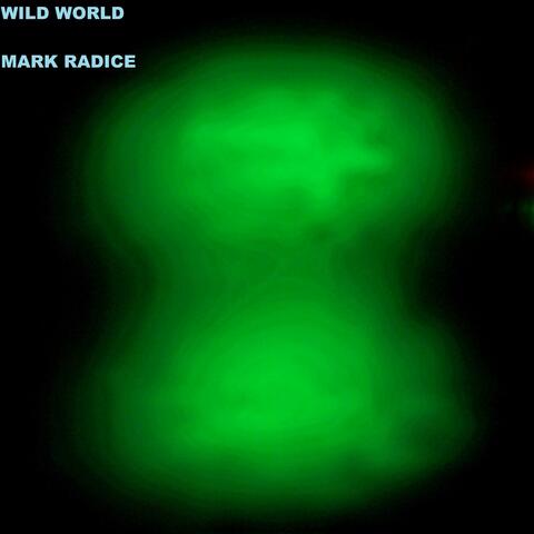 Wild World