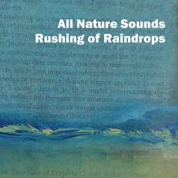 Rushing of Raindrops