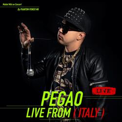 Pegao live from ( ITALY )
