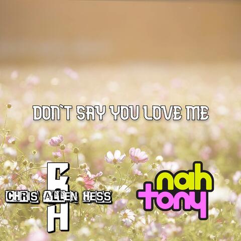 Don't Say You Love Me