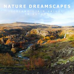 Splashing Stream and Birds in Gjain Iceland